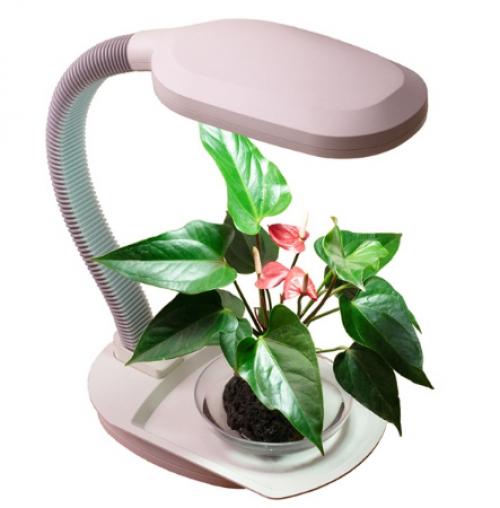 Мощность освещения для растений. Освещение для растений- фитосвет. Часть2