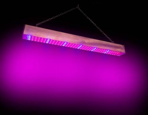 На сколько включать фитолампу для комнатных растений. Как пользоваться фитолампой при выращивании рассады