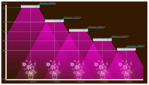 Как сделать освещение для комнатных растений. Как выбрать освещение для комнатных цветов