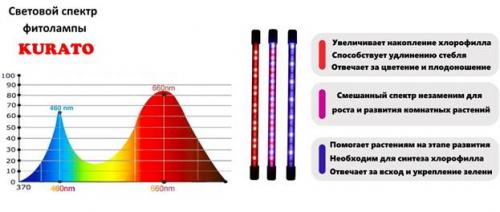 На сколько включать фитолампу для комнатных растений. Как пользоваться фитолампой при выращивании рассады