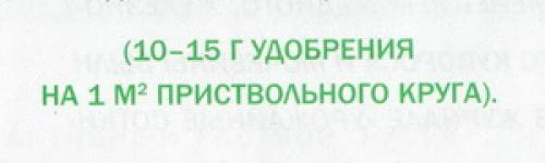 Как ухаживать за садом летом. Необходимый уход за плодовыми деревьями летом