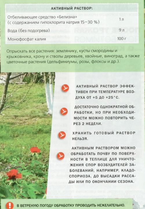 Как ухаживать за садом летом. Необходимый уход за плодовыми деревьями летом