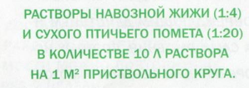 Как ухаживать за садом летом. Необходимый уход за плодовыми деревьями летом