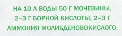 Как ухаживать за садом летом. Необходимый уход за плодовыми деревьями летом