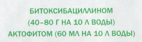 Как ухаживать за садом летом. Необходимый уход за плодовыми деревьями летом