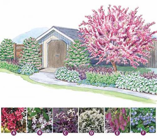 Цветники схемы. Как сделать красивую клумбу: 15 схем для цветника