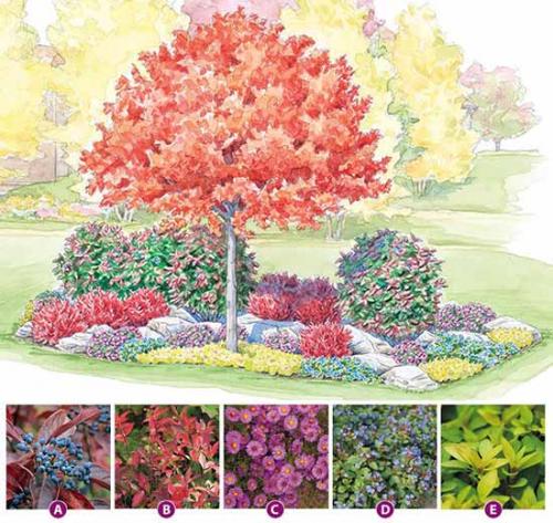 Цветники схемы. Как сделать красивую клумбу: 15 схем для цветника