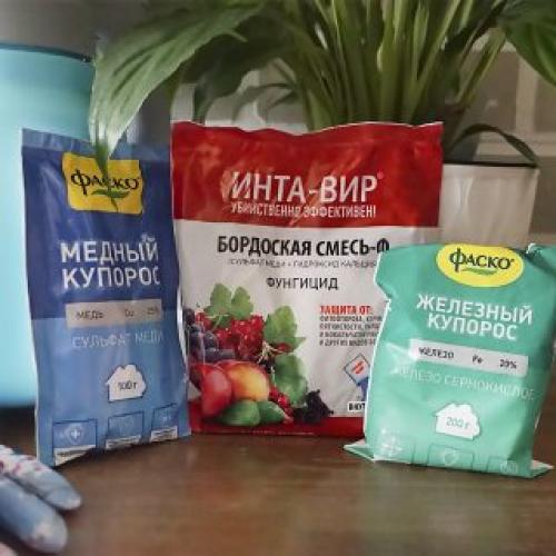 Календарь опрыскивания деревьев. Апрель