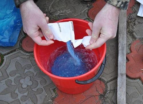 Уход за деревьями осенью опрыскивание. Как опрыскивать сад осенью: правила и рекомендации по обработке деревьев и кустарников