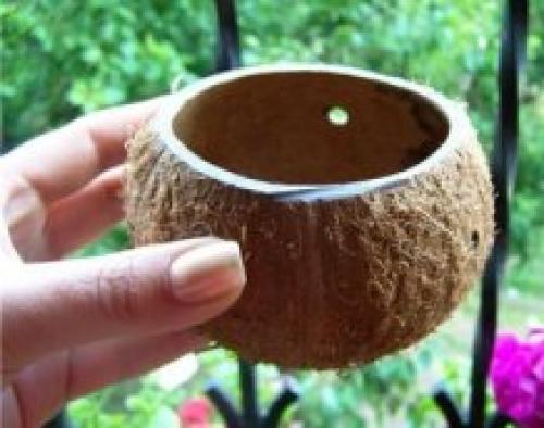 Как сажать растения в аквариум в горшочках. Самое читаемое