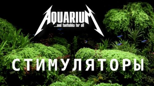 Что нужно, чтобы хорошо росли растения в аквариуме. Стимуляторы роста аквариумных растений: разговор на чистоту!