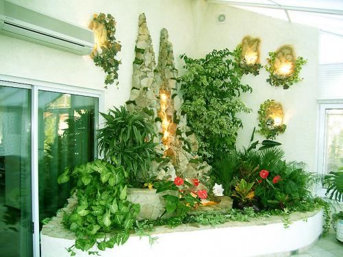 Ампельные тенелюбивые комнатные растения. Тенелюбивые цветущие комнатные растения с названиями