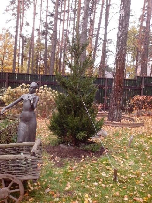 Уход за дачным садовым участком. Весенний уход за деревьями 03 Уход за дачным садовым участком. Весенний уход за деревьями 03