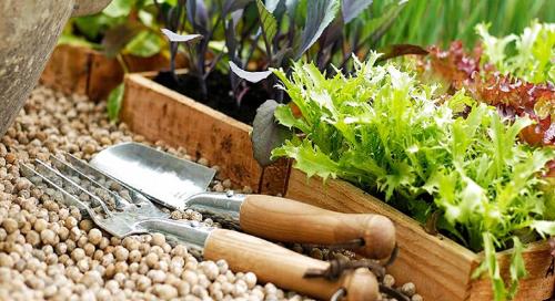 Шесть приемов ухода за садом весной. Подготовка грядок в огороде 02 Шесть приемов ухода за садом весной. Подготовка грядок в огороде 02