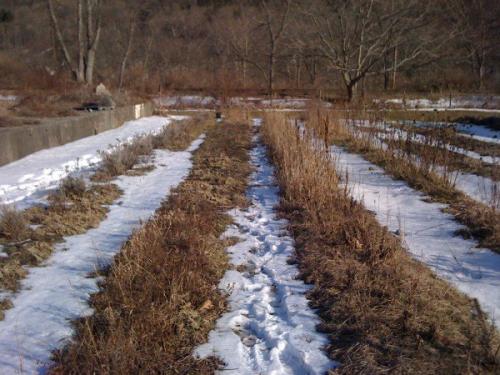 Шесть приемов ухода за садом весной. Подготовка грядок в огороде 05 Шесть приемов ухода за садом весной. Подготовка грядок в огороде 05
