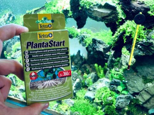 Что нужно, чтобы хорошо росли растения в аквариуме. Стимуляторы роста аквариумных растений: разговор на чистоту!