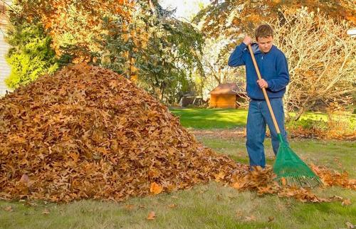Чем обрабатывать сад в сентябре. Осенняя обработка сада: эффективные приемы против болезней и вредителей