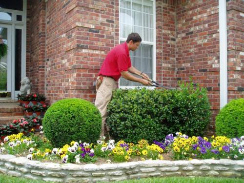 Как ухаживать за садом и огородом советы для новичков. Дорога к пониманию 07 Как ухаживать за садом и огородом советы для новичков. Дорога к пониманию 07