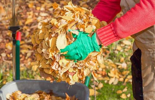 Чем обрабатывать сад в сентябре. Осенняя обработка сада: эффективные приемы против болезней и вредителей