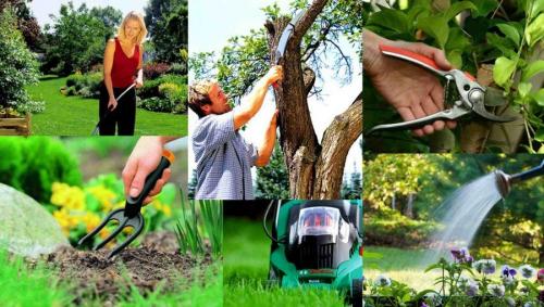 Как ухаживать за садом. Добавление статьи в новую подборку 02 Как ухаживать за садом. Добавление статьи в новую подборку 02