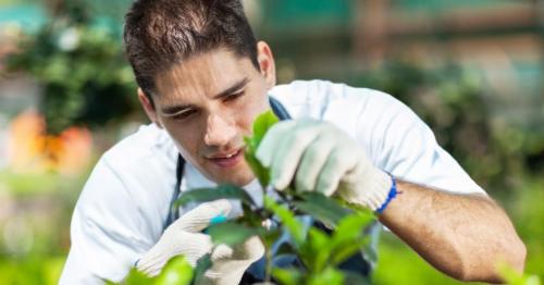 Как ухаживать за садом и огородом советы для новичков. Дорога к пониманию 06 Как ухаживать за садом и огородом советы для новичков. Дорога к пониманию 06