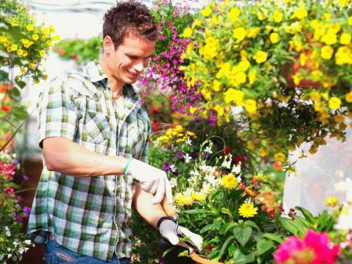 Как ухаживать за садом и огородом советы для новичков. Дорога к пониманию 02 Как ухаживать за садом и огородом советы для новичков. Дорога к пониманию 02