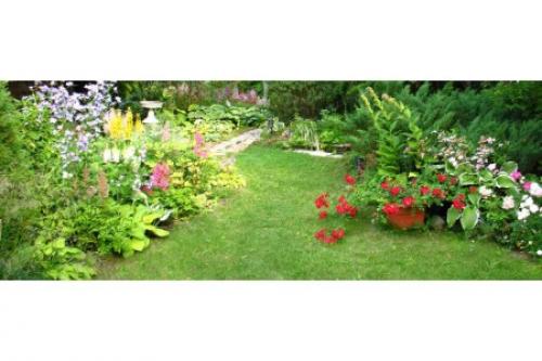 Летний уход за садом сад и огород. Летний период: 12 советов по уходу за садом и огородом