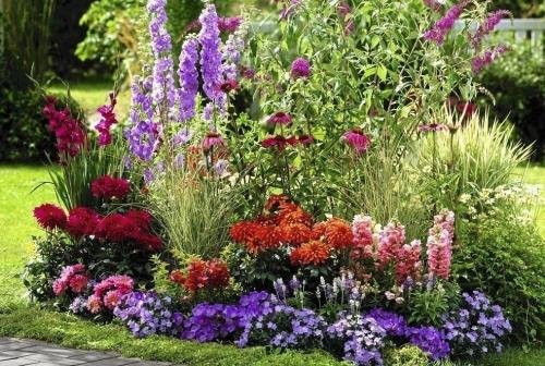 Клумба из многолетников для начинающих схемы. Самые красивые схемы клумб из многолетних цветов и кустарников