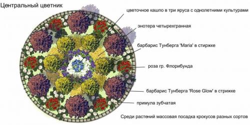 Клумба из многолетников для начинающих схемы. Самые красивые схемы клумб из многолетних цветов и кустарников
