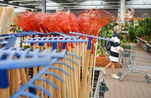 Когда нужно сажать петунию на рассаду в 2023 году. Сроки по регионам России 04 Когда нужно сажать петунию на рассаду в 2023 году. Сроки по регионам России 04