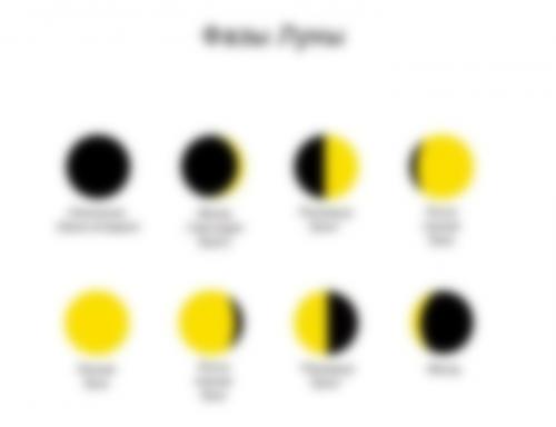 Когда нужно сажать петунию на рассаду в 2023 году. Сроки по регионам России 06 Когда нужно сажать петунию на рассаду в 2023 году. Сроки по регионам России 06