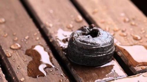 Как сажать петунию на рассаду в торфяные таблетки. Что собой представляют торфяные таблетки