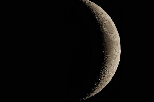 Когда сажать петунию на рассаду 2023. Пошаговая Инструкция когда и как правильно сажать петунию на получение рассады в 2023 году