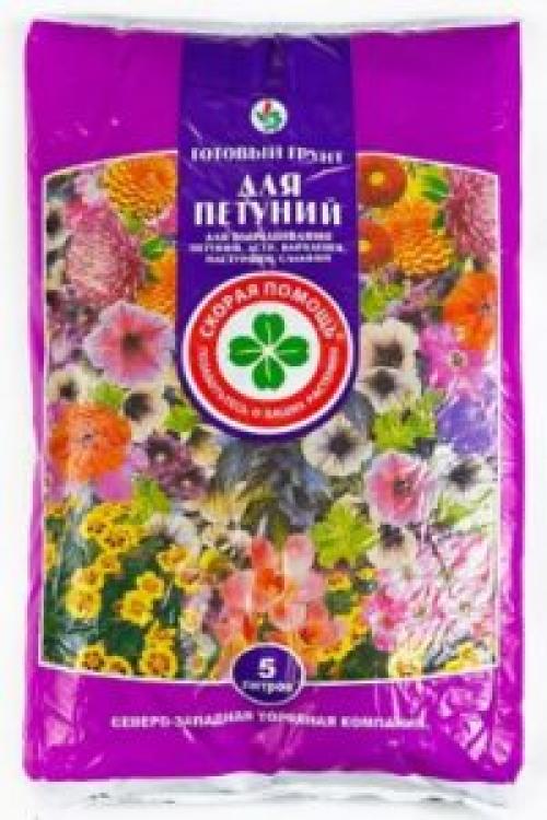 Как сажать петунию на рассаду в домашних условиях. Подходящий почвогрунт
