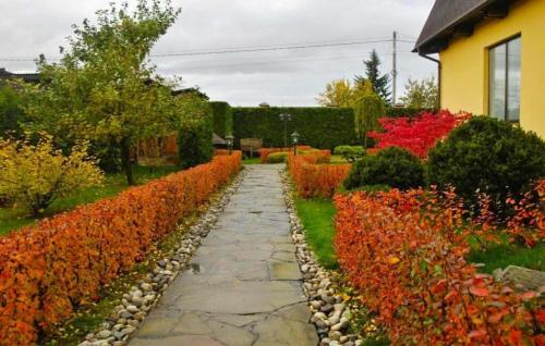 Растения для живой изгороди на урале. Быстрорастущие кустарники для живой изгороди