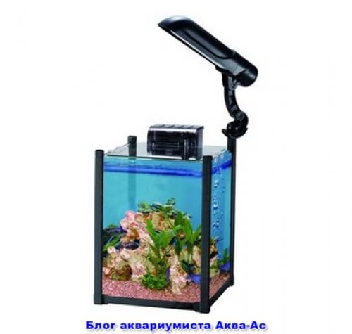 Нано аквариум и все. Как оборудовать? 30 Нано аквариум и все. Как оборудовать? 30