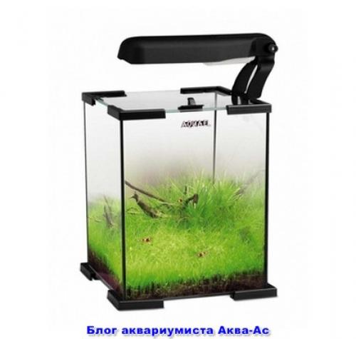 Нано аквариум и все. Как оборудовать? 27 Нано аквариум и все. Как оборудовать? 27