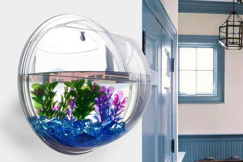 Нано аквариум и растения. Оформление нано аквариума