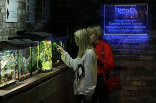 Аквариумное растение с большими листьями. Быстрорастущие или медленнорастущие
растения?