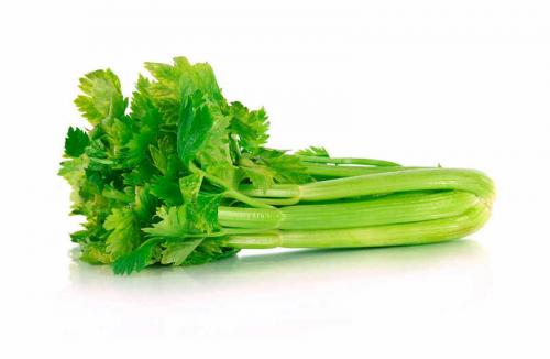 Тенелюбивые растения огородные и садовые. Список теневыносливых овощей для огорода 08 Тенелюбивые растения огородные и садовые. Список теневыносливых овощей для огорода 08