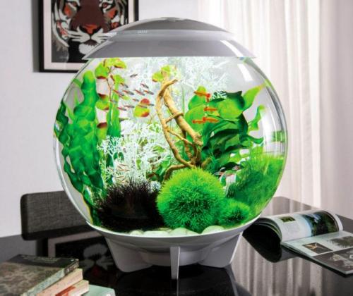 Каких рыбок можно держать в круглом аквариуме без фильтра. Нагреватель