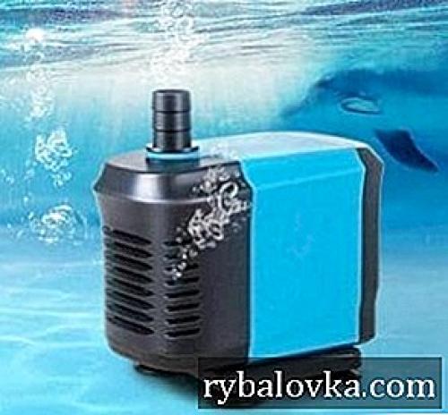 12 лучших аквариумных растений. Виды аквариумных растений 07 12 лучших аквариумных растений. Виды аквариумных растений 07