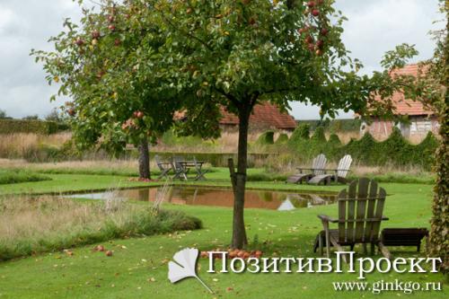 Планировка фруктово-ягодного приусадебного сада. Как совместить сад и огород 07 Планировка фруктово-ягодного приусадебного сада. Как совместить сад и огород 07