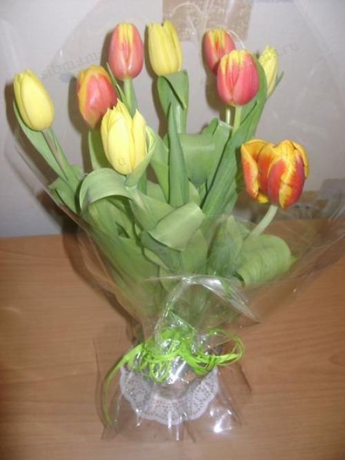 Самые неприхотливые сельскохозяйственные культуры. Добавление статьи в новую подборку 03