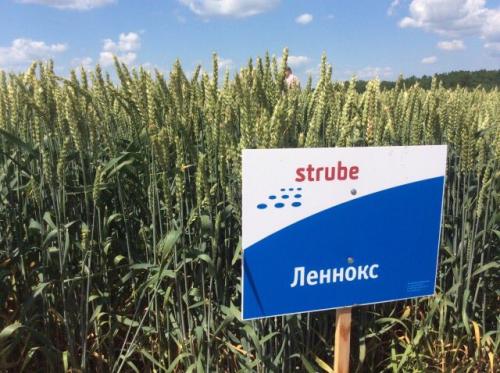 Самые неприхотливые сельскохозяйственные культуры. Добавление статьи в новую подборку 12