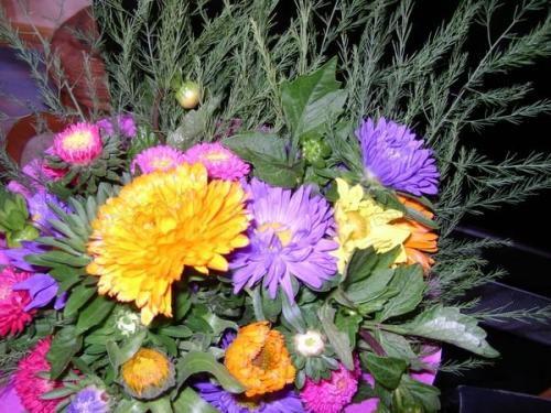 Самые неприхотливые сельскохозяйственные культуры. Добавление статьи в новую подборку 07