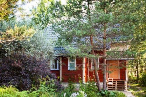 14 растений для влажной почвы. Растения для влажных мест сада 07 14 растений для влажной почвы. Растения для влажных мест сада 07