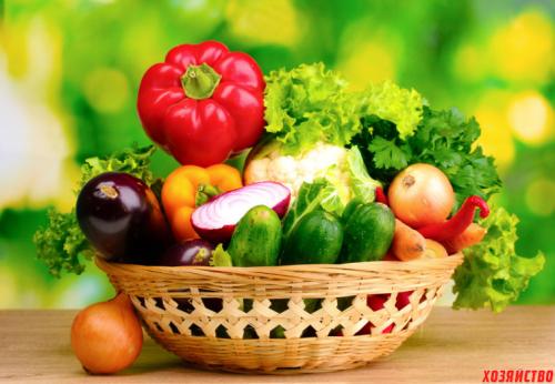 Самые урожайные овощи. Топ-5 урожайных огородных культур