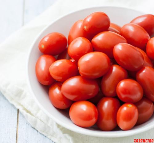 Самые урожайные овощи. Топ-5 урожайных огородных культур