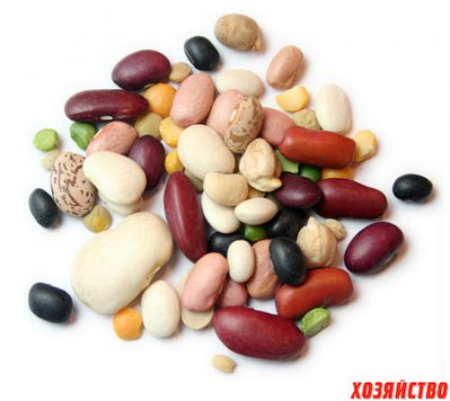 Самые урожайные овощи. Топ-5 урожайных огородных культур